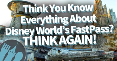 Think You Know Everything About Disney World's FastPass? Think Again!