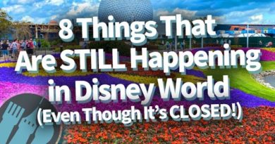 8 Things That Are STILL Happening in Disney World (Even Though It’s Closed)
