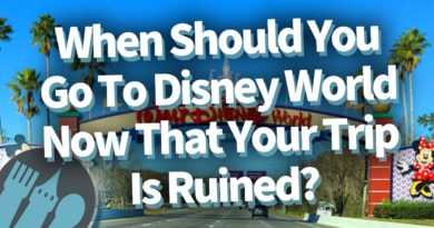 When Should You Go To Disney World Now That Your Trip Is Ruined?