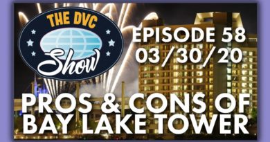 Pros & Cons of Bay Lake Tower - The DVC Show