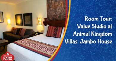 Full Room Tour of Disney's Animal Kingdom Lodge: Jambo House Value Studio