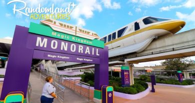 Disney World's FREE Rides - The Accidental Transportation Challenge! Plus! A Special Hidden Mickey.