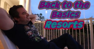 Back to the Basics - Walt Disney World Resorts