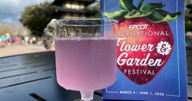 Epcot International Flower & Garden Alcoholic Drinks review