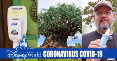 Walt Disney World Resort - What's Going On With The Coronavirus COVID-19
