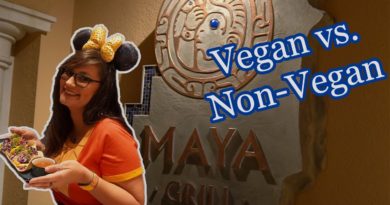 Maya Grill - Vegan & non-vegan food review - Disney's Coronado Springs Resort