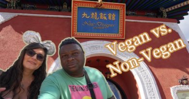 New menu! Nine Dragons - Vegan & non-vegan food review - Epcot - Walt Disney World