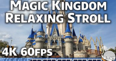 Long Relaxing Stroll - Magic Kingdom - No Narration