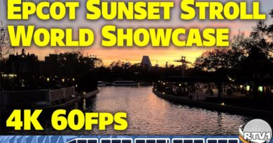 Epcot - World Showcase Relaxing Stroll at Sunset during Flower & Garden