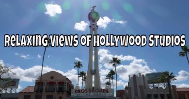 Relaxing Views of Hollywood Studios