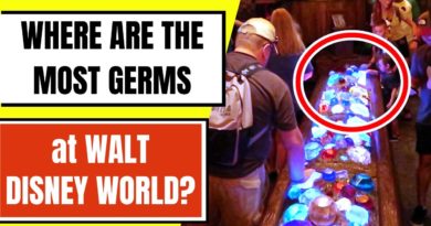 Where Are the Most Germs at Magic Kingdom - Average Me