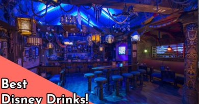 Top 5 Favorite Alcohol Drinks at Disney World - IvyWinter