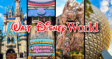 Top 10 Disney World Rides - Virtual Park Hopping with Disney Ride POVs - TPM Vids