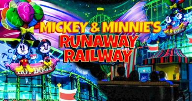 Mickey& Minnie's Runaway Railway POV - TPM Vids