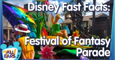 The Magic Behind Magic Kingdom's Festival of Fantasy Parade