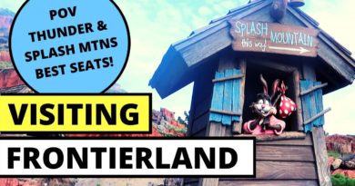 Frontierland Mountains, Bears and a Parade