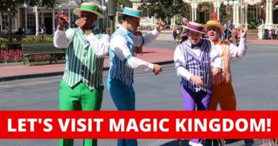 Do You Miss Magic Kingdom? Main Street & Tomorrowland