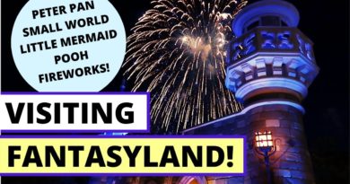 Let's Visit FANTASYLAND! Peter Pan, Small World, Ariel, Pooh and Fireworks