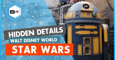 18 Star Wars Galaxy's Edge Secrets