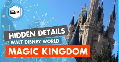 23 Magic Kingdom Secrets