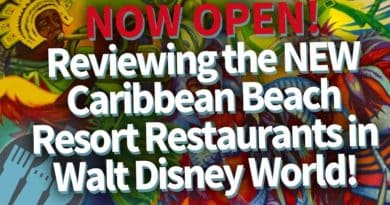 REVIEWS at Disney World's Caribbean Beach Resort