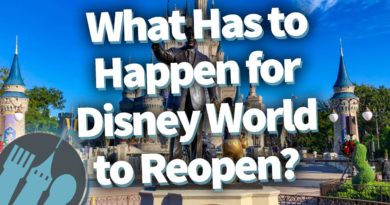 What Has to Happen for Disney World to Reopen?