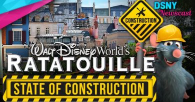 RATATOUILLE RIDE's State of Construction Before Walt Disney World Closure