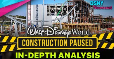 WALT DISNEY WORLD CONSTRUCTION PAUSED - An In-Depth Analysis