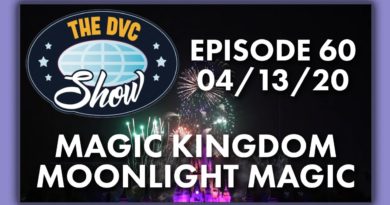 Magic Kingdom Moonlight Magic - The DVC Show