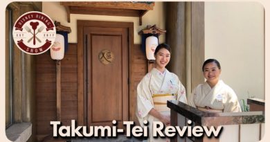 Takumi-Tei Restaurant Review - Epcot