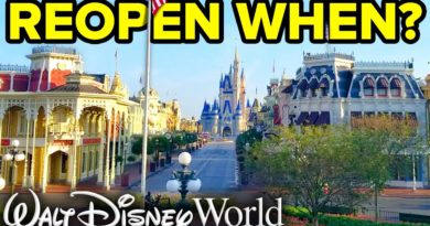 When Will Walt Disney World Reopen?