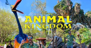 A Day At Disney's Animal Kingdom! The Best Park? What To See, What To Eat!