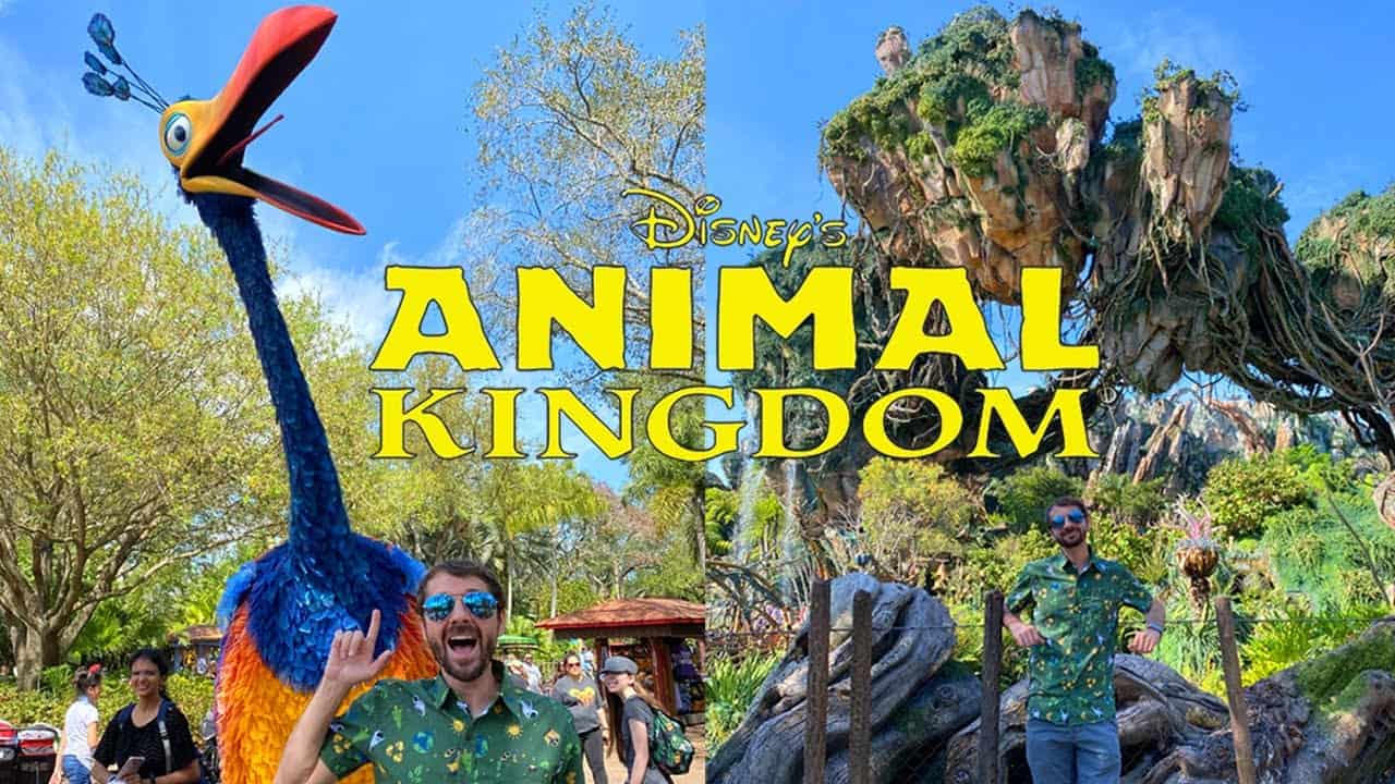 A Day At Disney's Animal Kingdom! The Best Park? What To See, What To