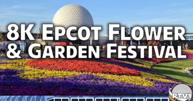 8K Epcot Flower & Garden Festival Tour