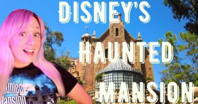 5 Reasons The Haunted Mansion is THE BEST Disney Attraction