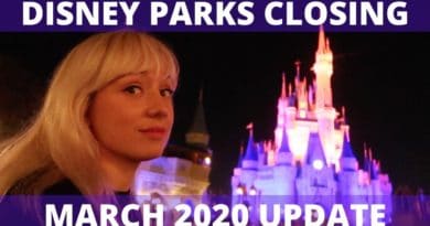 Walt Disney World Closing - Finding Out While at Magic Kingdom