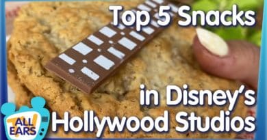 The BEST Snacks in Disney World's Hollywood Studios - AllEars.net