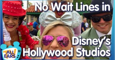 What to Do in Hollywood Studios When You Don't Have Time for a Disney World Line - AllEars.net