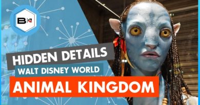 15 Animal Kingdom Secrets - Beyond the Kingdoms