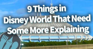9 Things in Disney World That Need Some Explaining! - Disney Food Blog