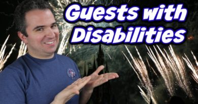 Guide for Guests with Disabilites at Disney World - Michael Kay