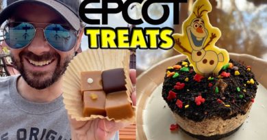 EPCOT World Showcase Treats in Germany & Norway - MrCheezyPop