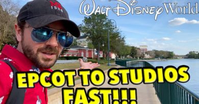 Fastest Way from Epcot to Hollywood Studios - mrcheezypop