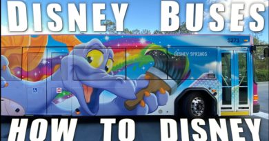 How To Use Disney Bus Transportation - The WDW Couple
