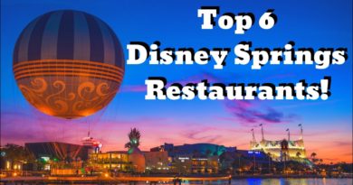 Top 6 Restaurants at Disney Springs in Walt Disney World - The WDW Couple