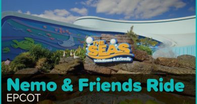 The Seas with Nemo & Friends, Full-length 4K POV - Undercover Tourist