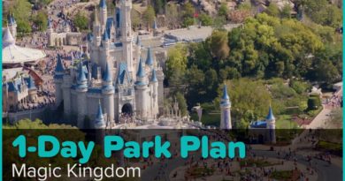 Undercover Tourist 1-Day Park Plan for Magic Kingdom - Undercover Tourist