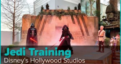 Star Wars - Jedi Training: Trials of the Temple - Undercover Tourist