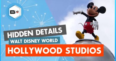 17 Hollywood Studios Secrets