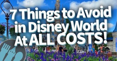 7 Things to Avoid in Disney World at All Costs!